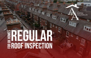 roof inspection